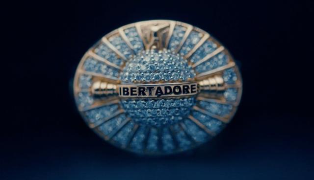 1611296503385087414.jpg anel2.jpg